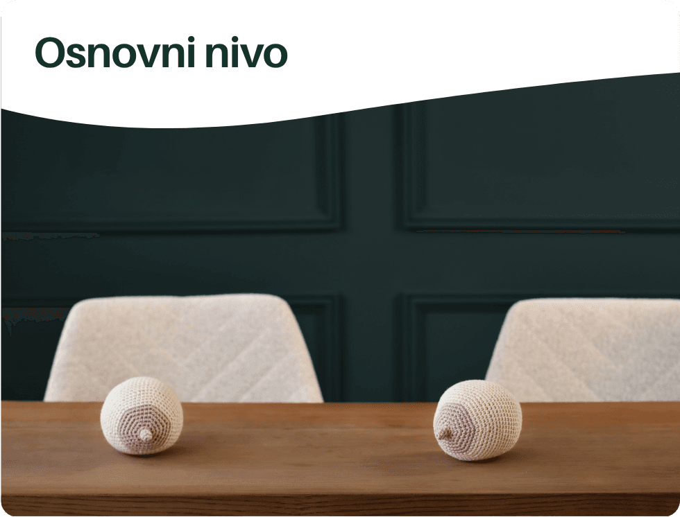 Osnovni nivo